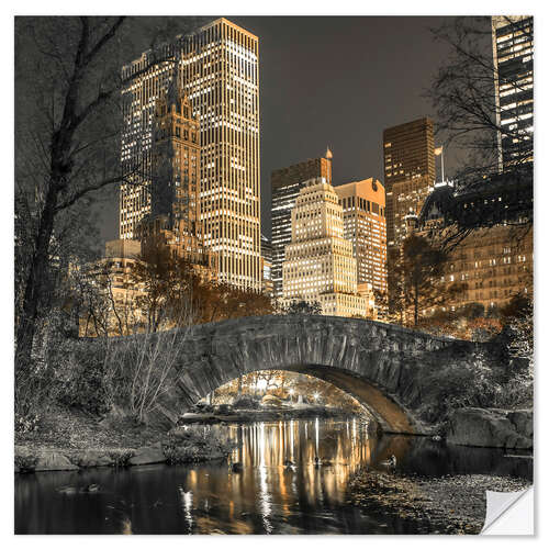 Vinilo para la pared Pequeño puente en Central Park II