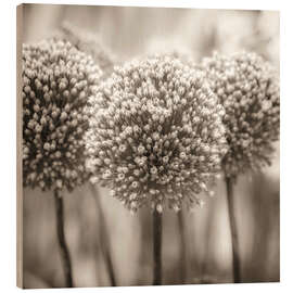 Wood print Allium I