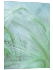 Tableau en PVC Foxtail II