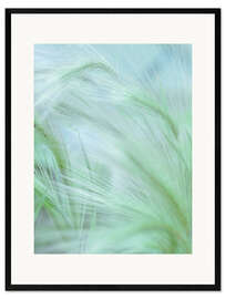 Impression artistique encadrée Foxtail II