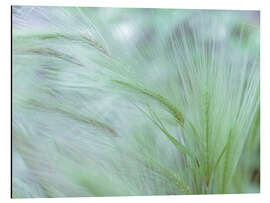 Magnettafel Fuchsschwanz I