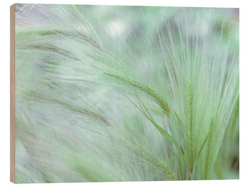 Puutaulu Foxtail I