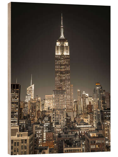 Trebilde View of the Empire State Building I