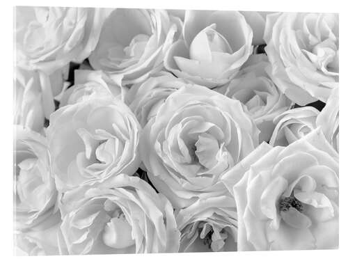 Akryylilasitaulu White roses bouquet
