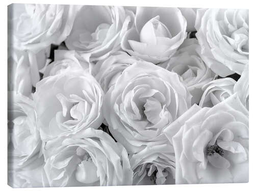 Canvas print White roses bouquet