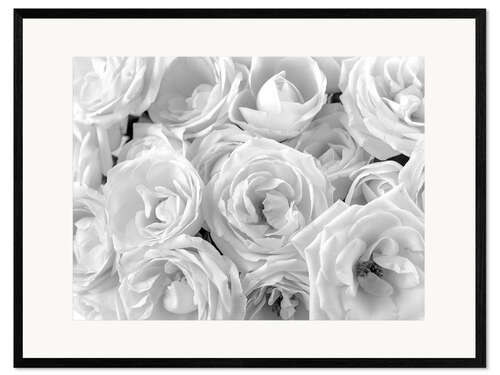 Kehystetty taidepainatus White roses bouquet