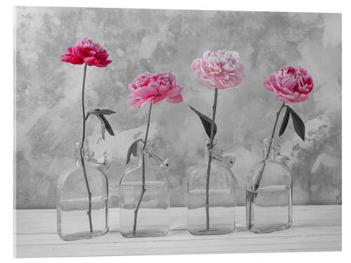 Acrylic print Pink Peonies on b/w