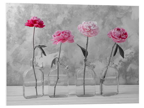 Tableau en PVC Pink Peonies on b/w