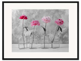 Gerahmter Kunstdruck Rosa Pfingstrosen auf s/w