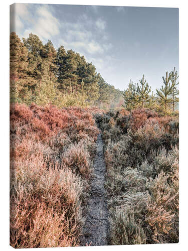 Canvastavla Path through the hoarfrost