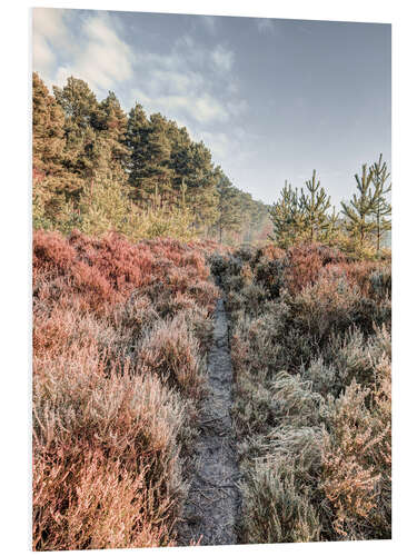 Foam board print Path through the hoarfrost