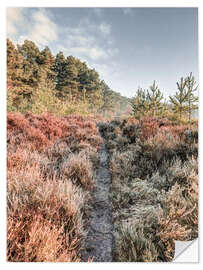 Selvklæbende plakat Path through the hoarfrost