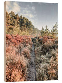 Wood print Path through the hoarfrost