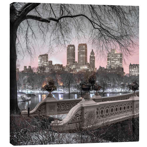 Canvas print Central Park at dusk