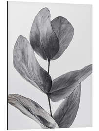 Magnettafel Eukalyptus