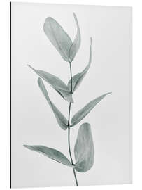 Magnettafel Eukalyptus