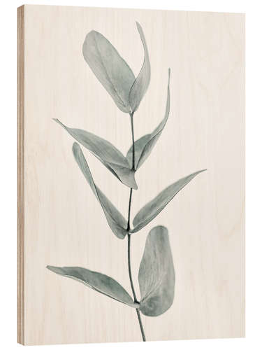 Wood print Eucalyptus