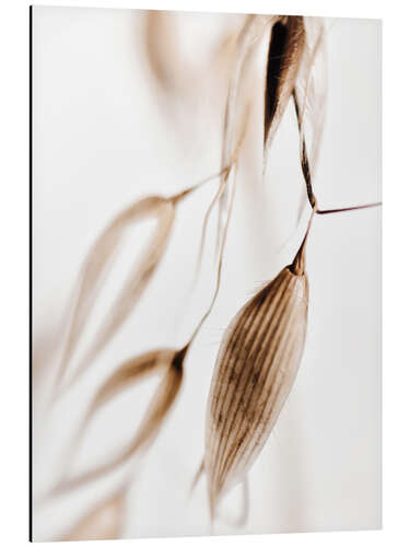 Aluminium print Dried grass III