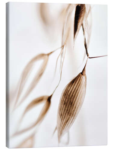 Canvas-taulu Dried grass III