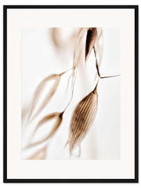 Gerahmter Kunstdruck Getrocknetes Gras III