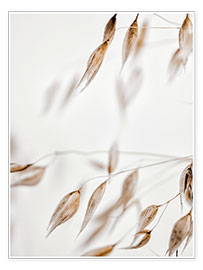 Poster Dried grass II
