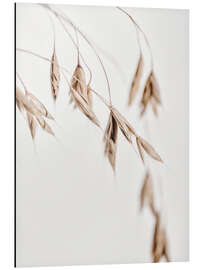 Aluminium print Dried grass I