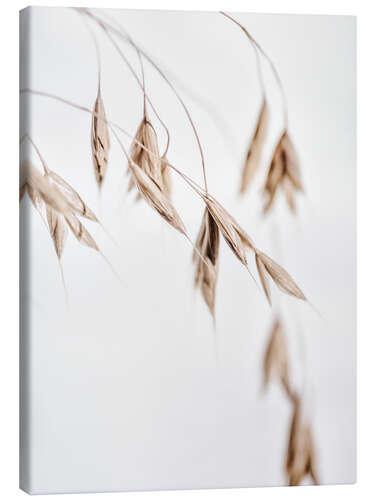Canvas-taulu Dried grass I