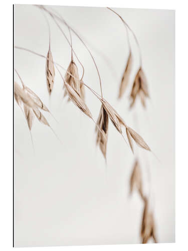 Galleritryk Dried grass I