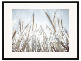 Gerahmter Kunstdruck Weizenfeld II
