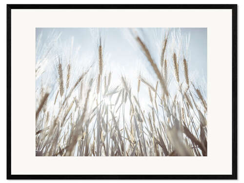 Impression artistique encadrée Wheat field II