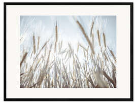 Framed art print Wheat field II