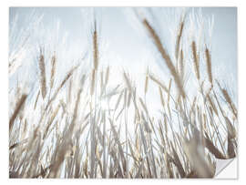 Sticker mural Wheat field II