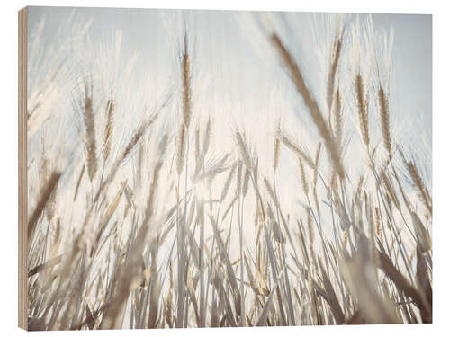 Trätavla Wheat field II