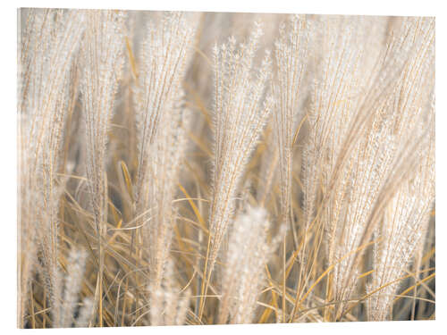 Akrylbilde Gold shimmering silver grass