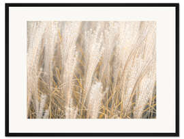 Gerahmter Kunstdruck Gold schimmerndes Silbergras