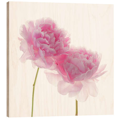 Wood print Pink Peonies