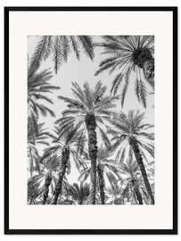 Framed art print Palm trees