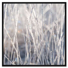 Gerahmter Kunstdruck Gräser im Frost