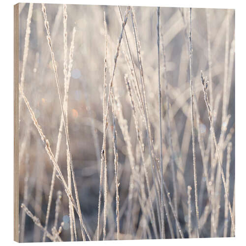 Holzbild Gräser im Frost