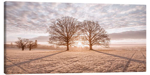 Canvas print Two trees in the sunset