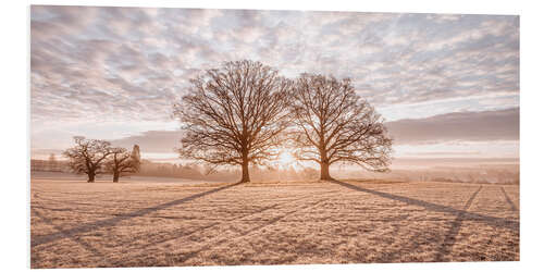 Foam board print Two trees in the sunset