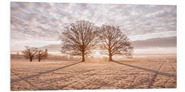 Foam board print Two trees in the sunset