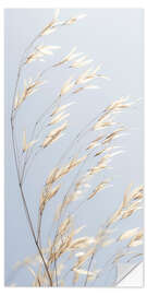 Selvklebende plakat Panicle oat II