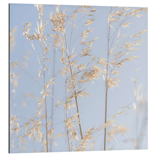 Tableau en aluminium Panicle oat I