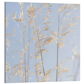 Tableau en aluminium Panicle oat I