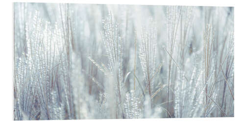 Stampa su PVC Silver grass