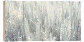 Wood print Silver grass