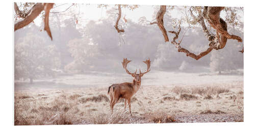 Foam board print Deer in the winter forest