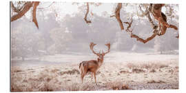 Galleriprint Deer in the winter forest