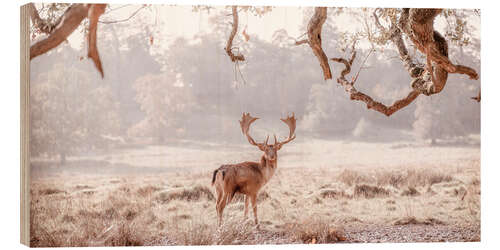 Trebilde Deer in the winter forest